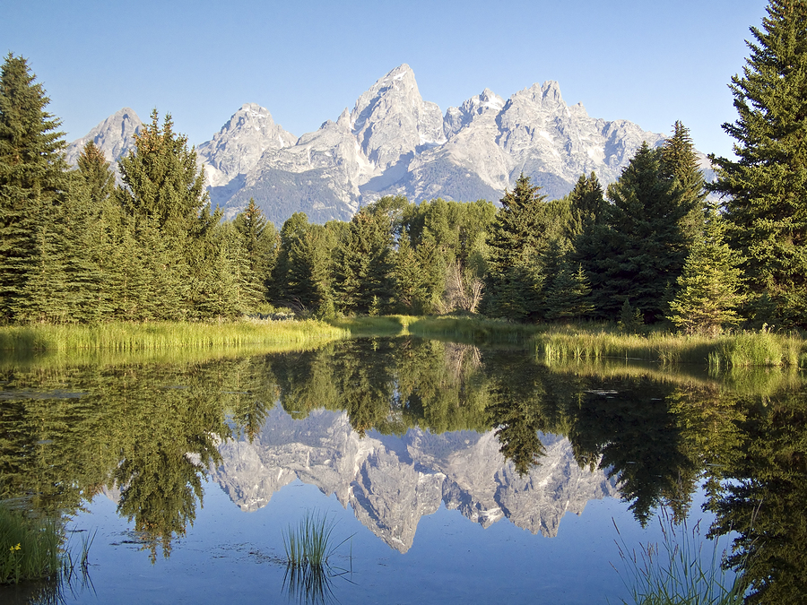 The Unlikely Rise of Jackson Hole